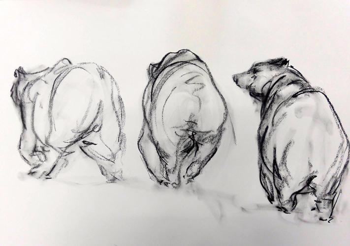 Drawings. Bears. 2014